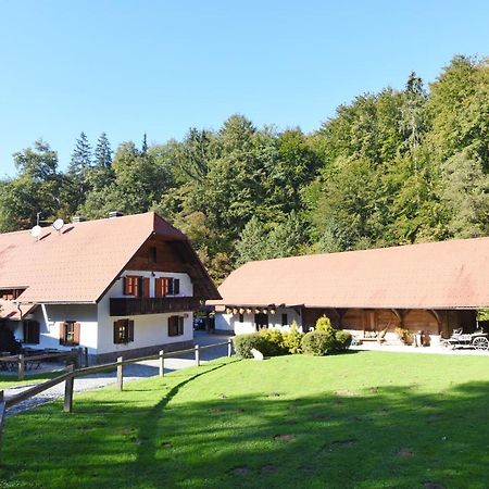 Domacija Seruga Countryside Hotel Novo Mesto Ngoại thất bức ảnh