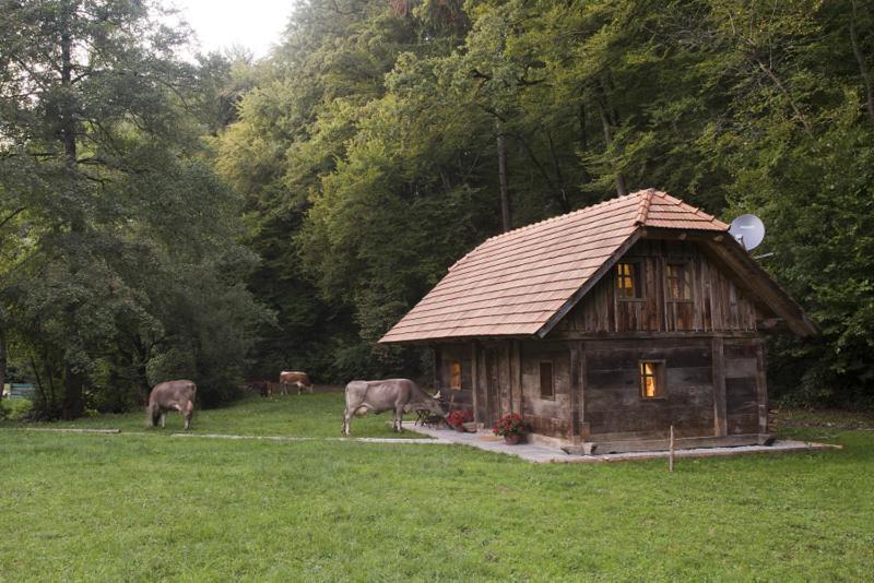 Domacija Seruga Countryside Hotel Novo Mesto Ngoại thất bức ảnh