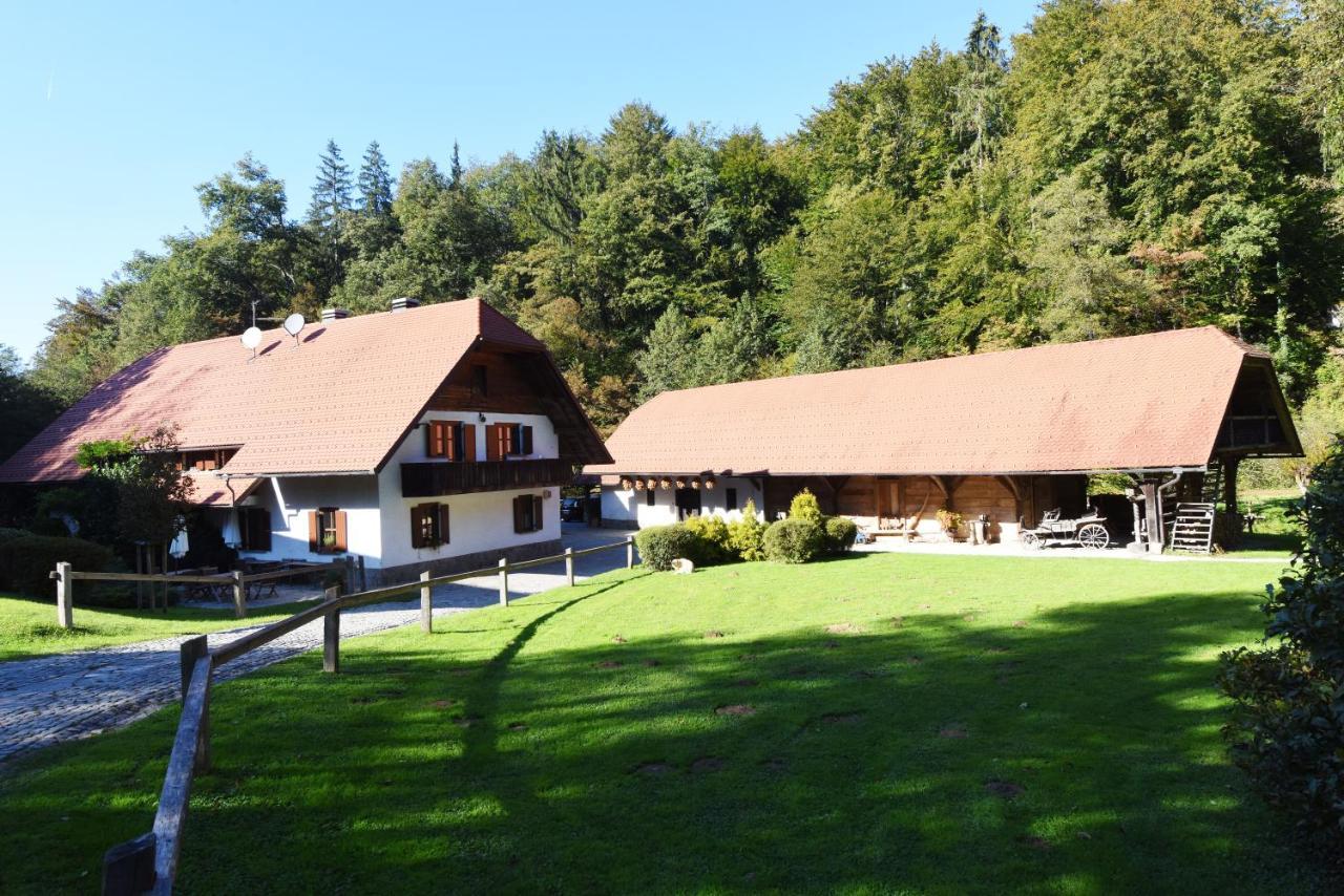 Domacija Seruga Countryside Hotel Novo Mesto Ngoại thất bức ảnh