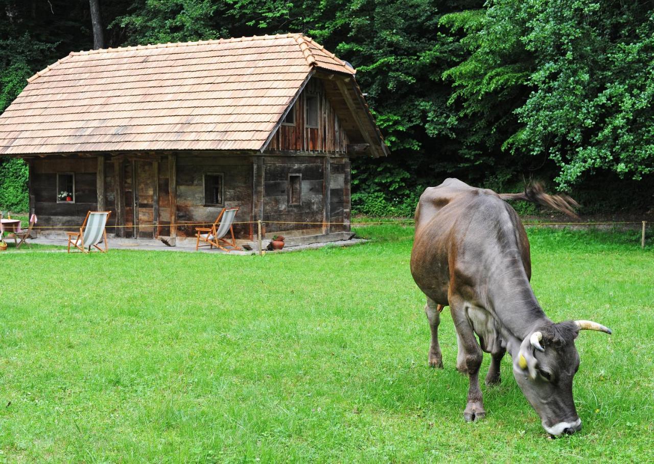 Domacija Seruga Countryside Hotel Novo Mesto Ngoại thất bức ảnh