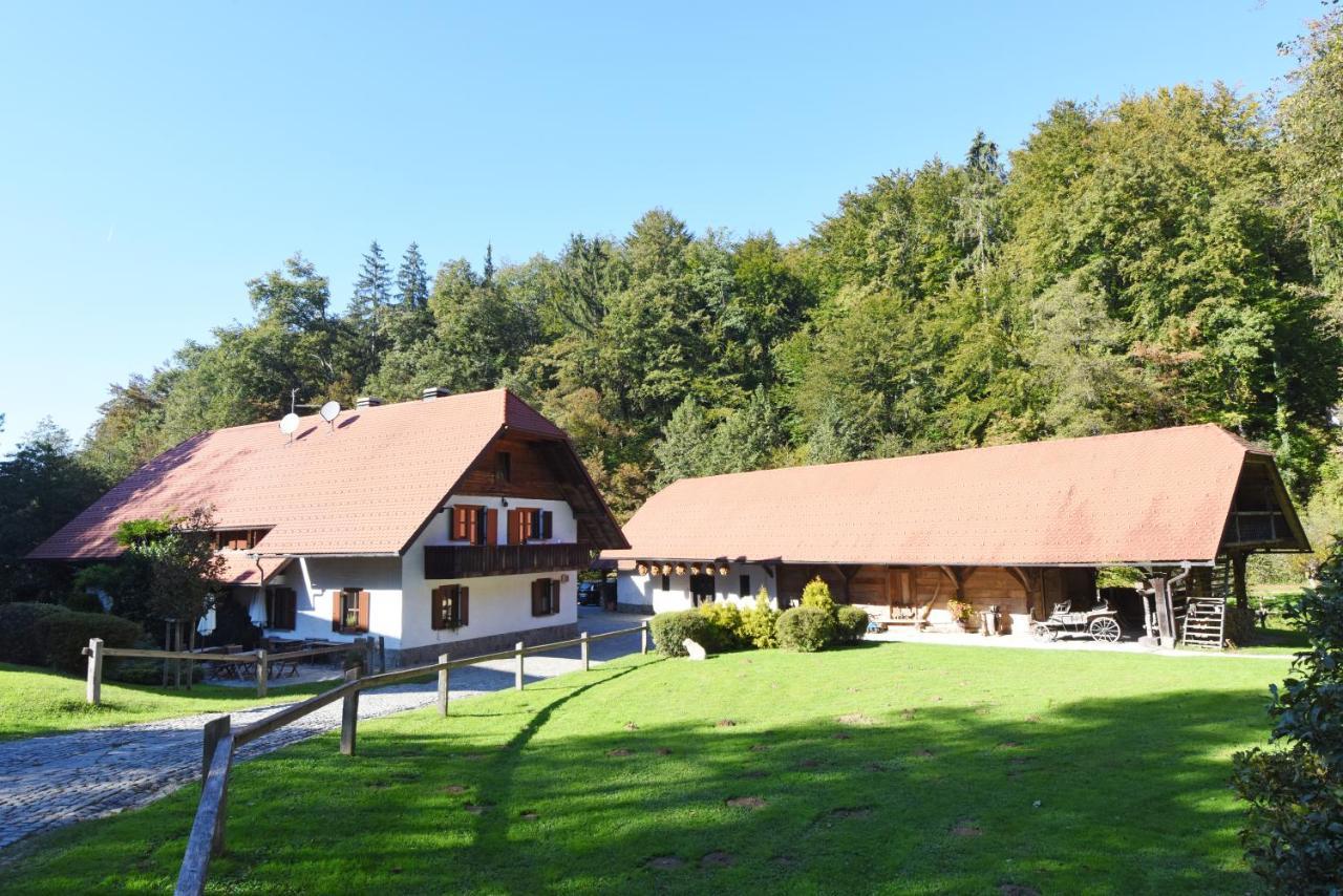 Domacija Seruga Countryside Hotel Novo Mesto Ngoại thất bức ảnh