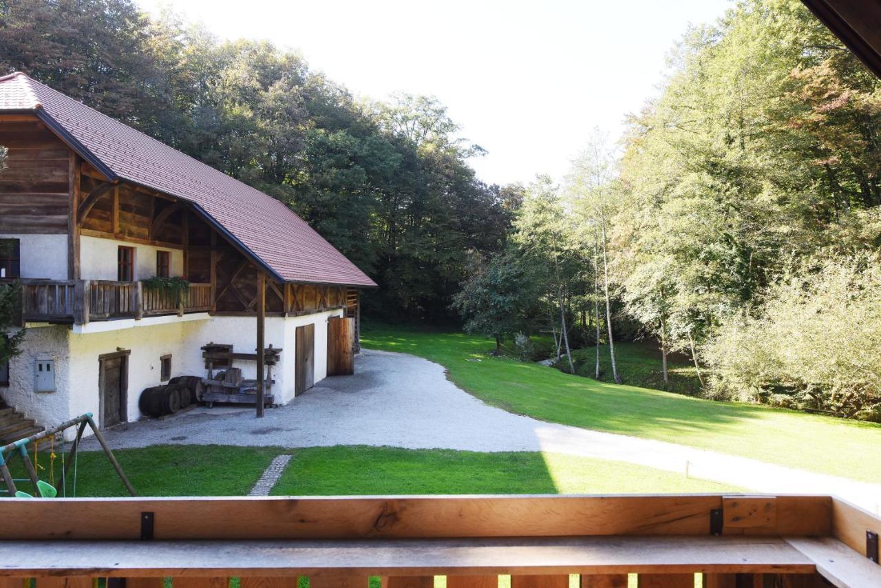 Domacija Seruga Countryside Hotel Novo Mesto Ngoại thất bức ảnh